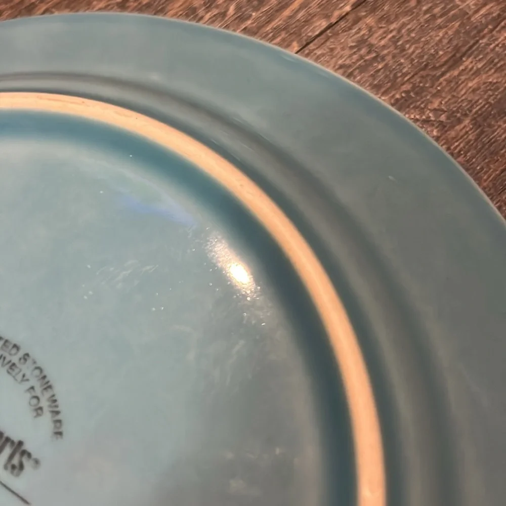 Pier 1 Tosco Lagoon Blue‎ 2 Salad or Desert Plates Embossed Flowers